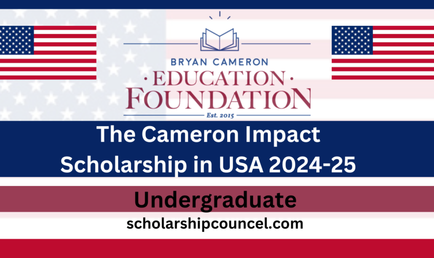 The Cameron Impact Scholarship in USA 2024-25