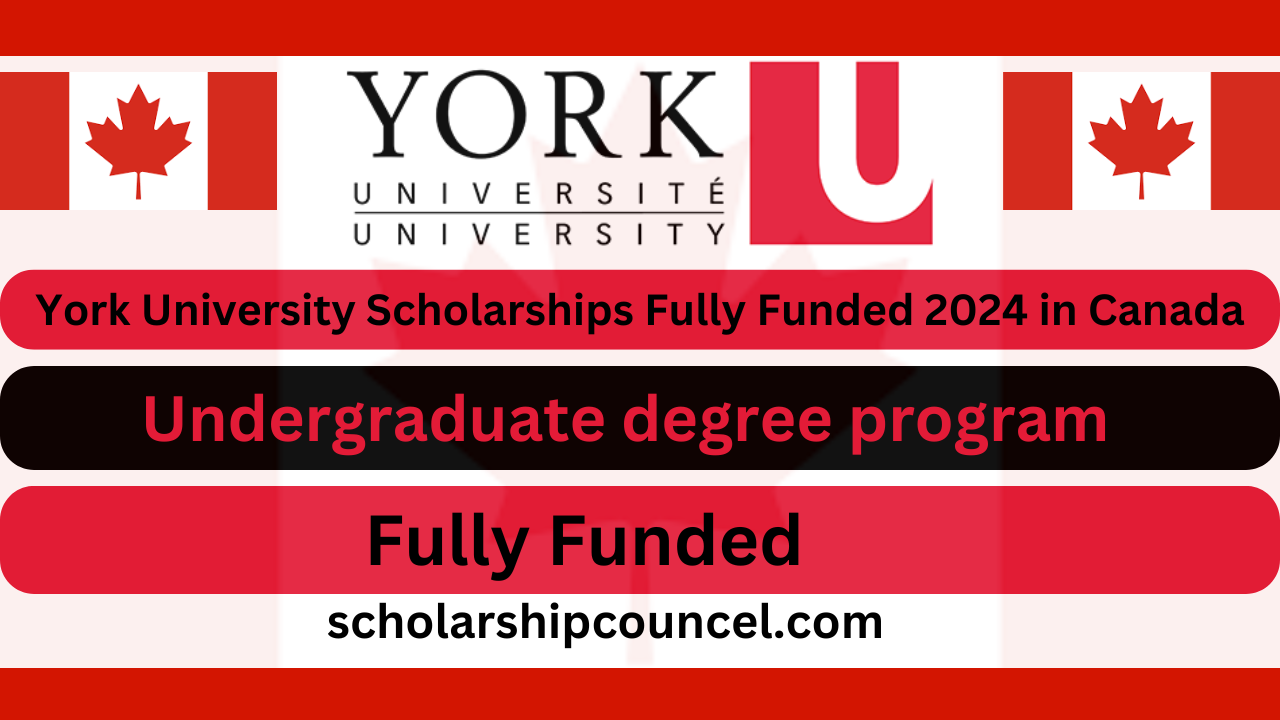 York University Scholarships Fully Funded 2024 in Canada